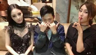 娱乐圈400页吃瓜小说,400页独家揭秘，明星背后的秘密大曝光